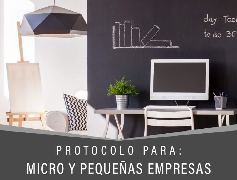 Protocolo Micro y Pequeñas Empresas